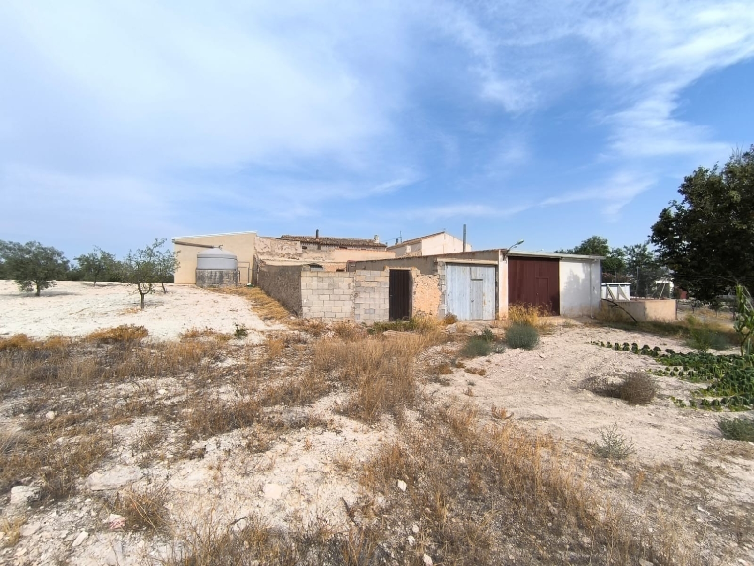  for sale country house Jumilla Altiplano 4