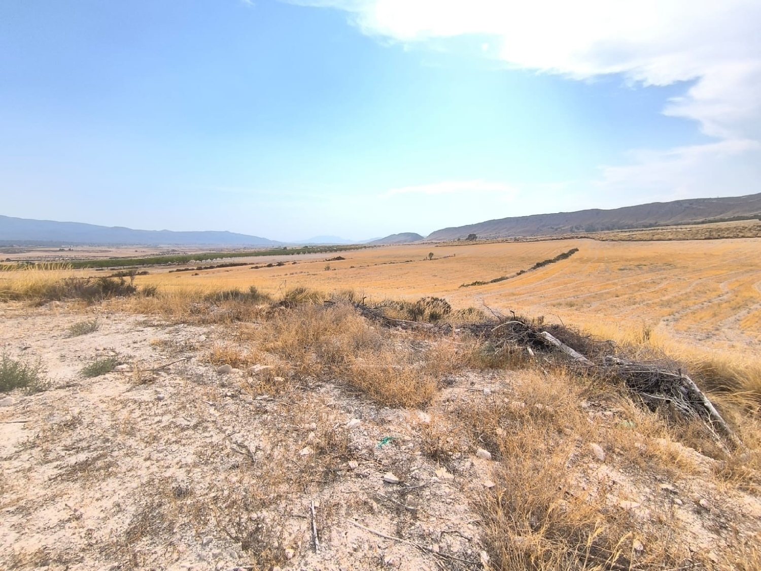  for sale country house Jumilla Altiplano 1