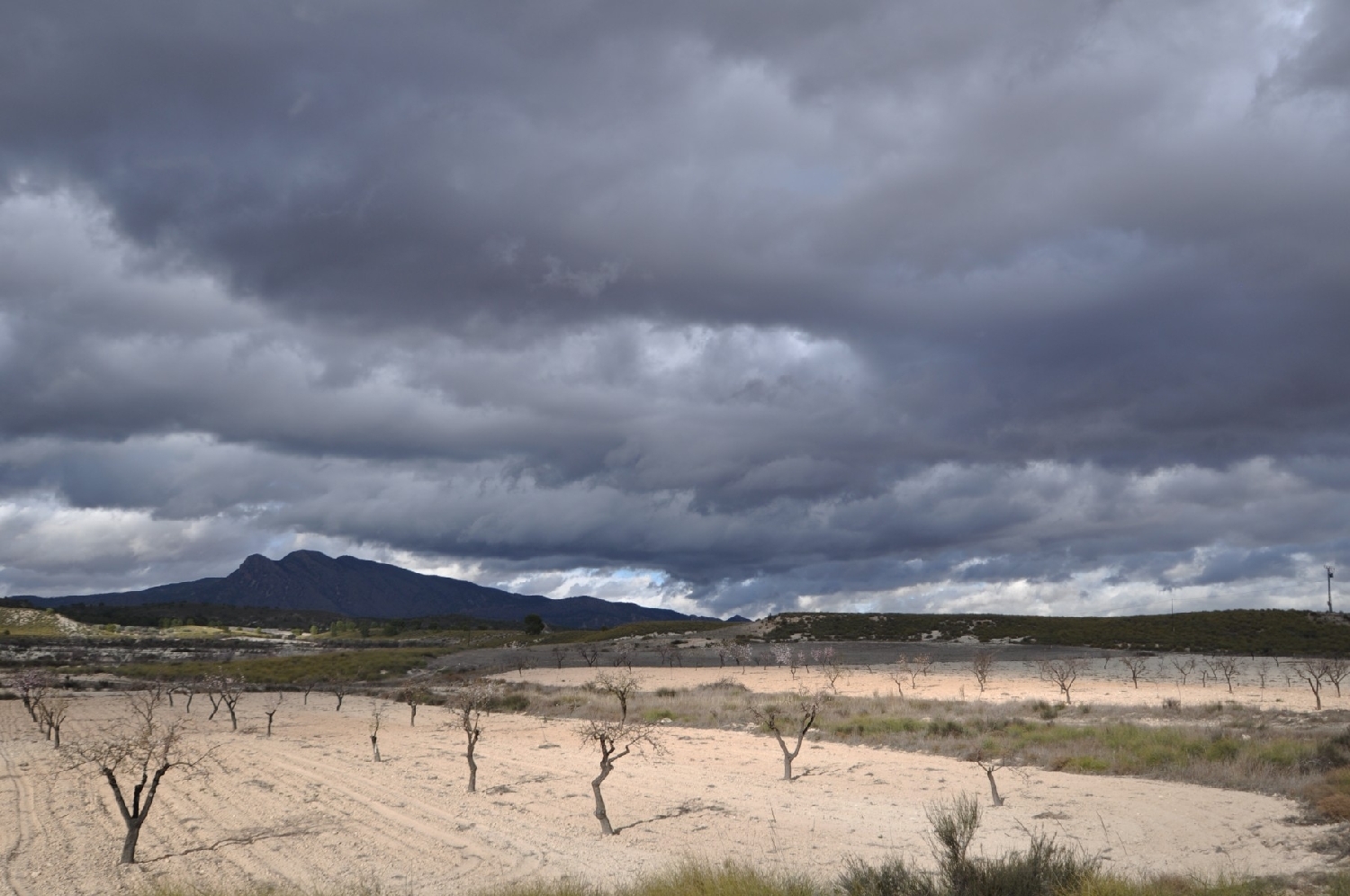  for sale country house Jumilla Altiplano 5