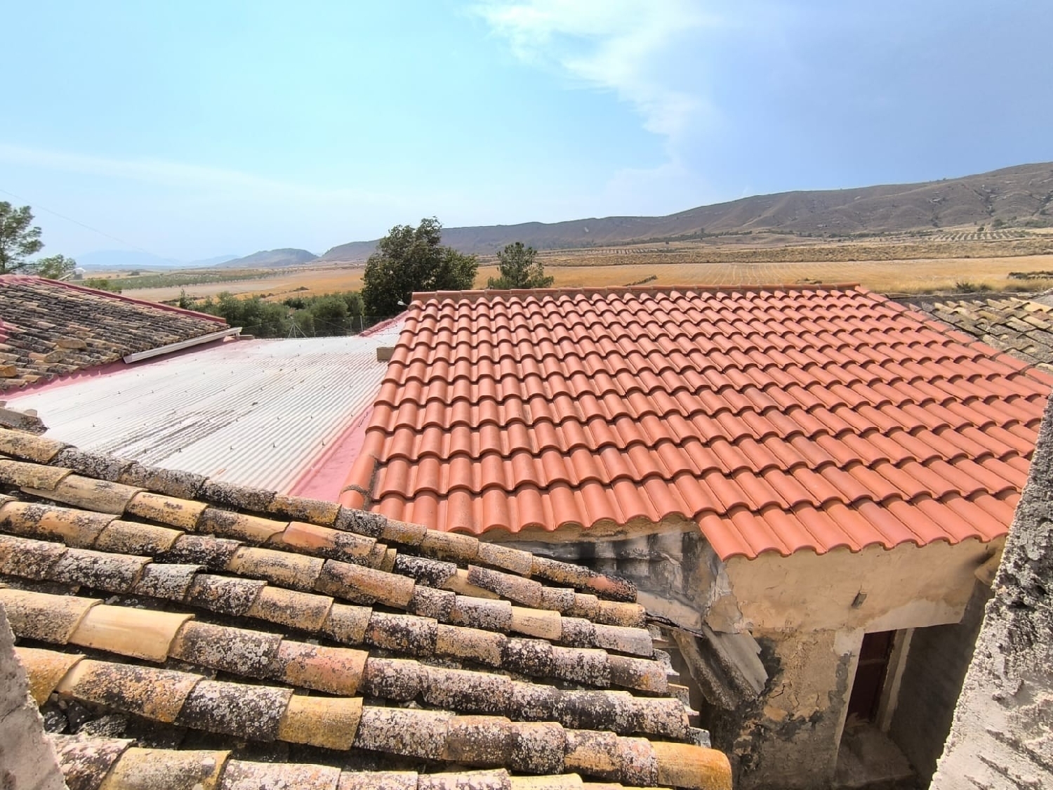 kaufen Landhaus Jumilla Altiplano 3