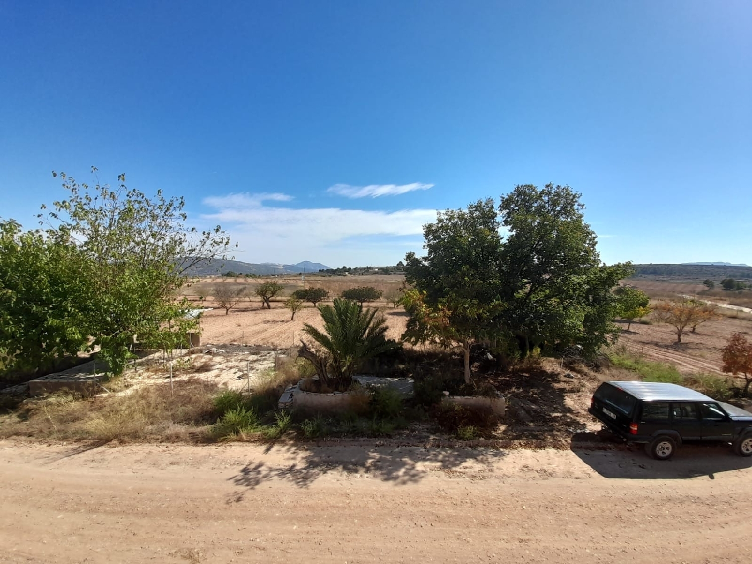  en venta finca rústica Jumilla Altiplano 4