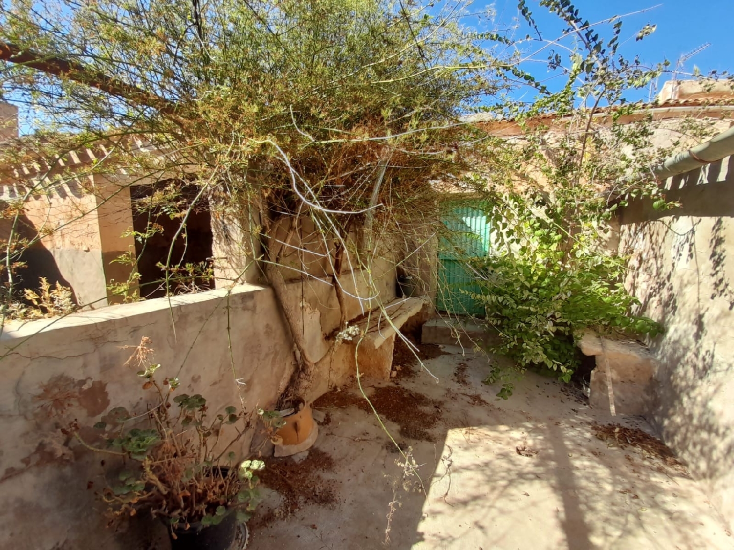  en venta finca rústica Jumilla Altiplano 8