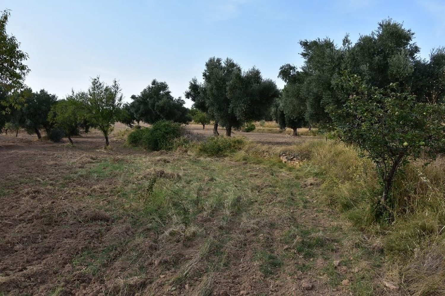  for sale country house La Fresneda Matarraña 5