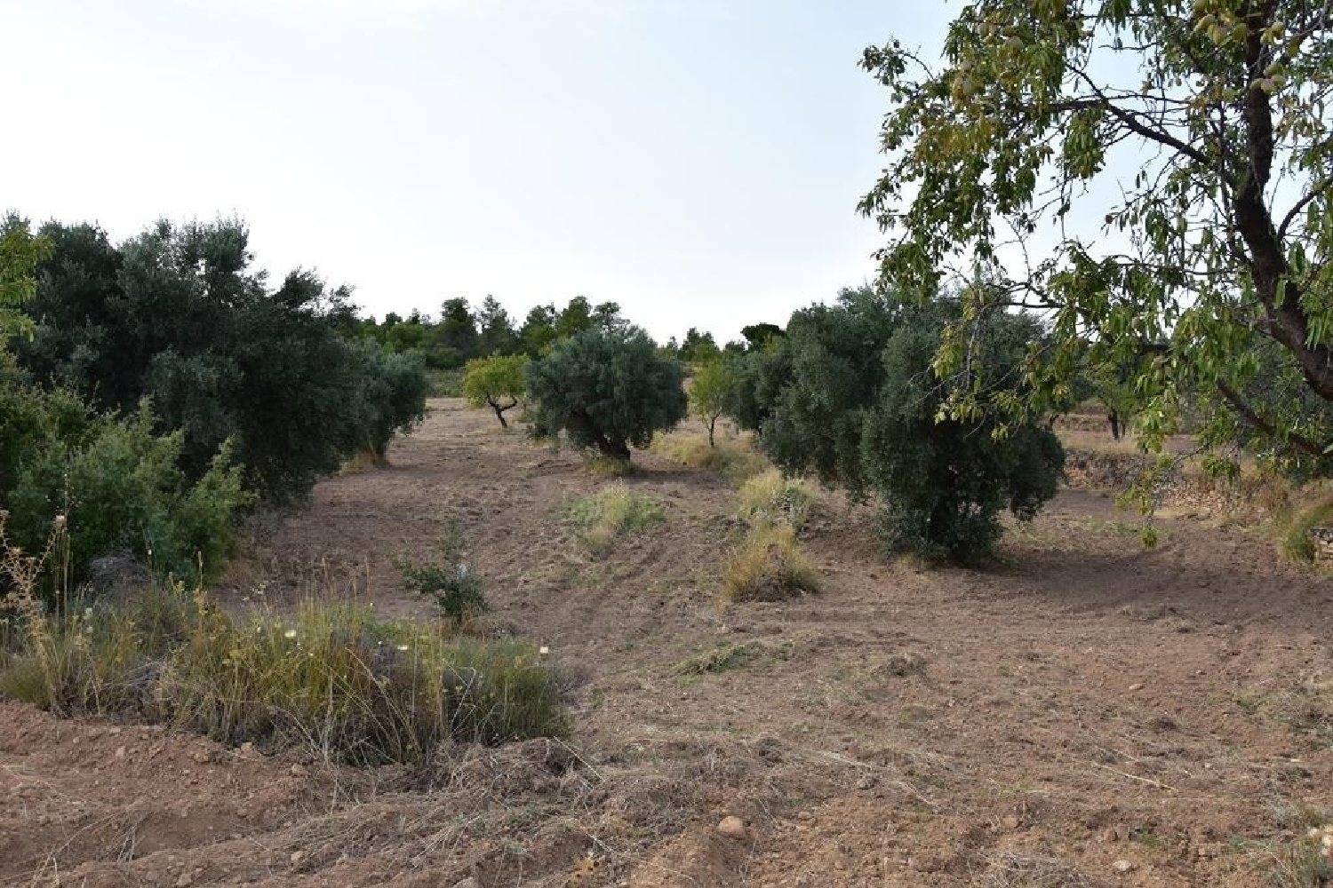  for sale country house La Fresneda Matarraña 4