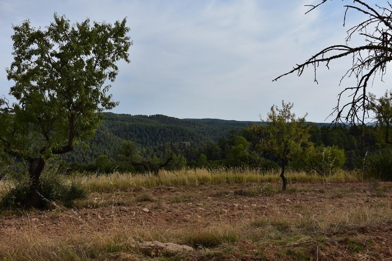  for sale country house La Fresneda Matarraña 6