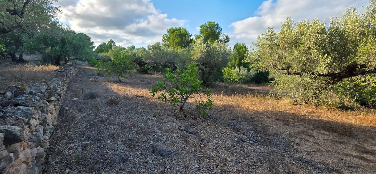  à vendre maison de campagne L'ametlla De Mar Baix Ebre 4