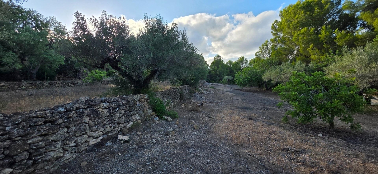  à vendre maison de campagne L'ametlla De Mar Baix Ebre 5