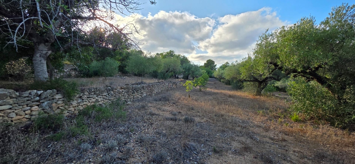  à vendre maison de campagne L'ametlla De Mar Baix Ebre 8