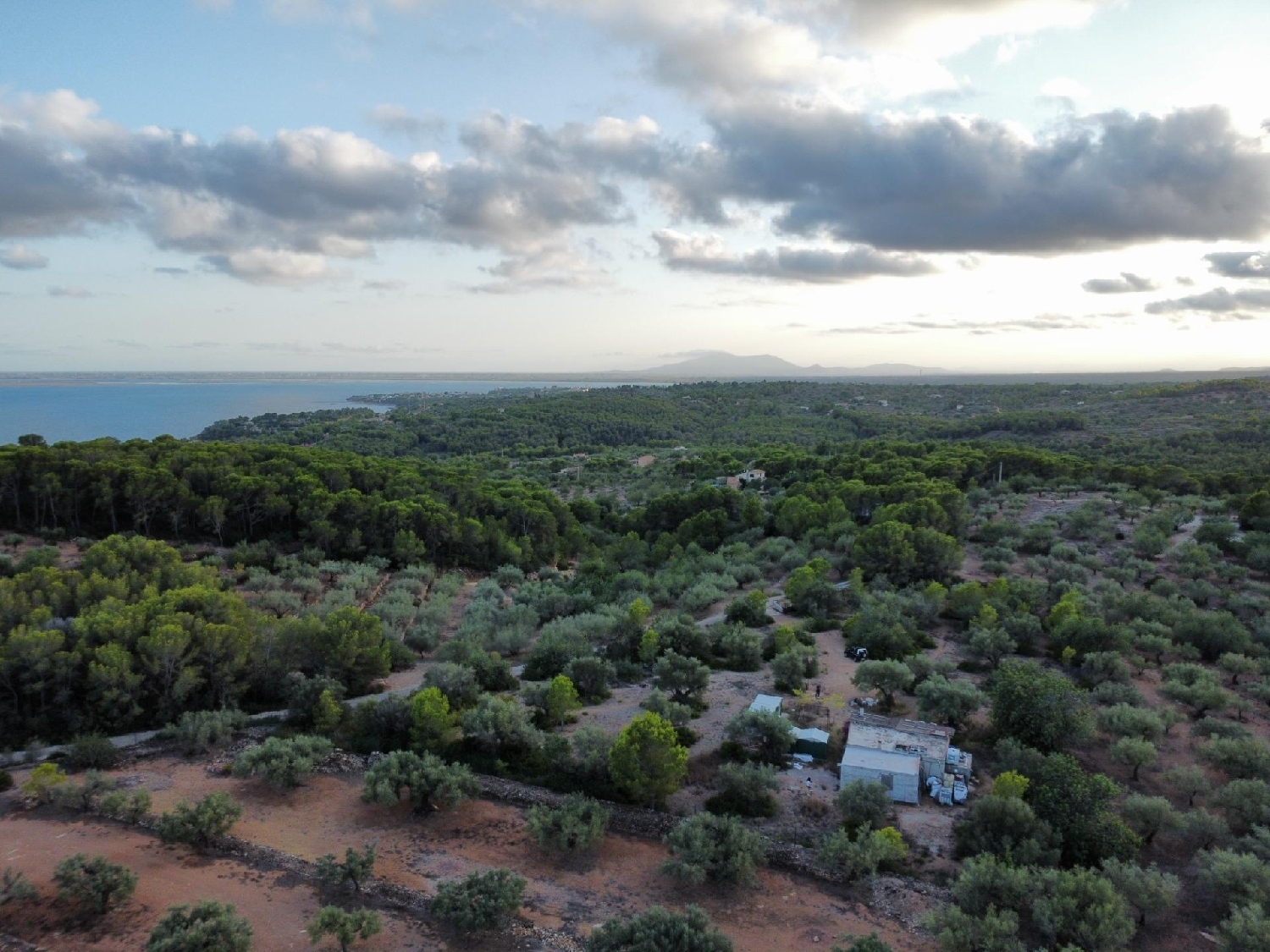  à vendre maison de campagne L'ametlla De Mar Baix Ebre 7