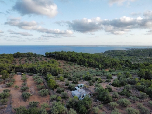 L''ametlla De Mar Baix Ebre maison de campagne foto 6299234