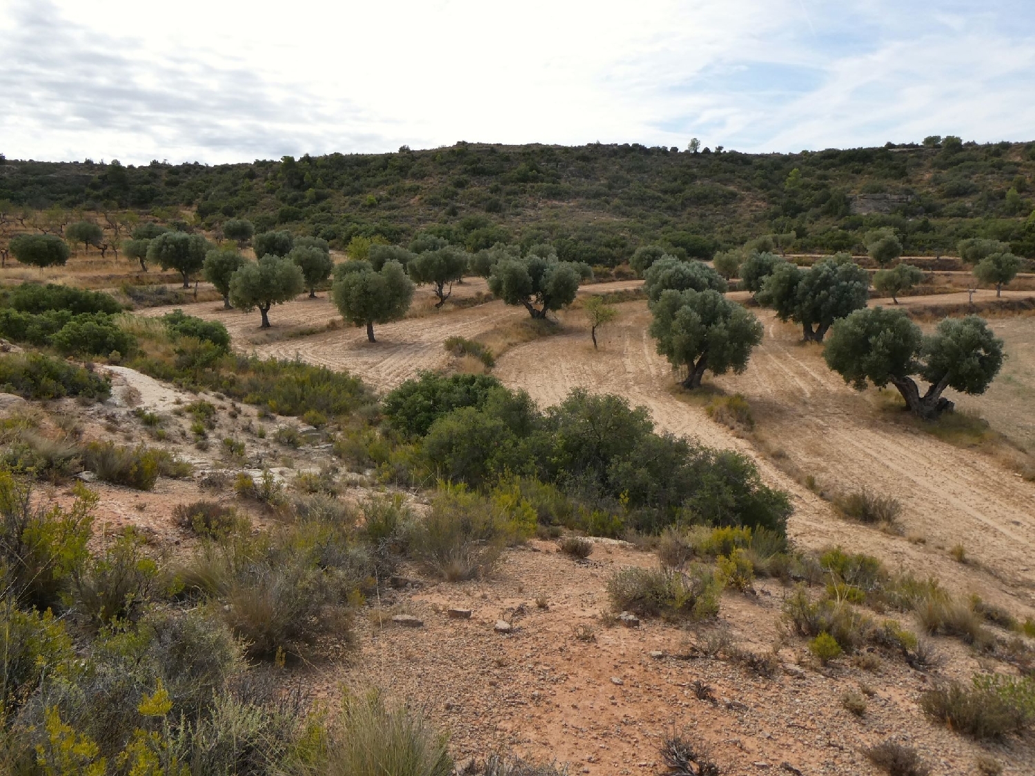  te koop boerderij Maella Bajo Aragón-Caspe 3