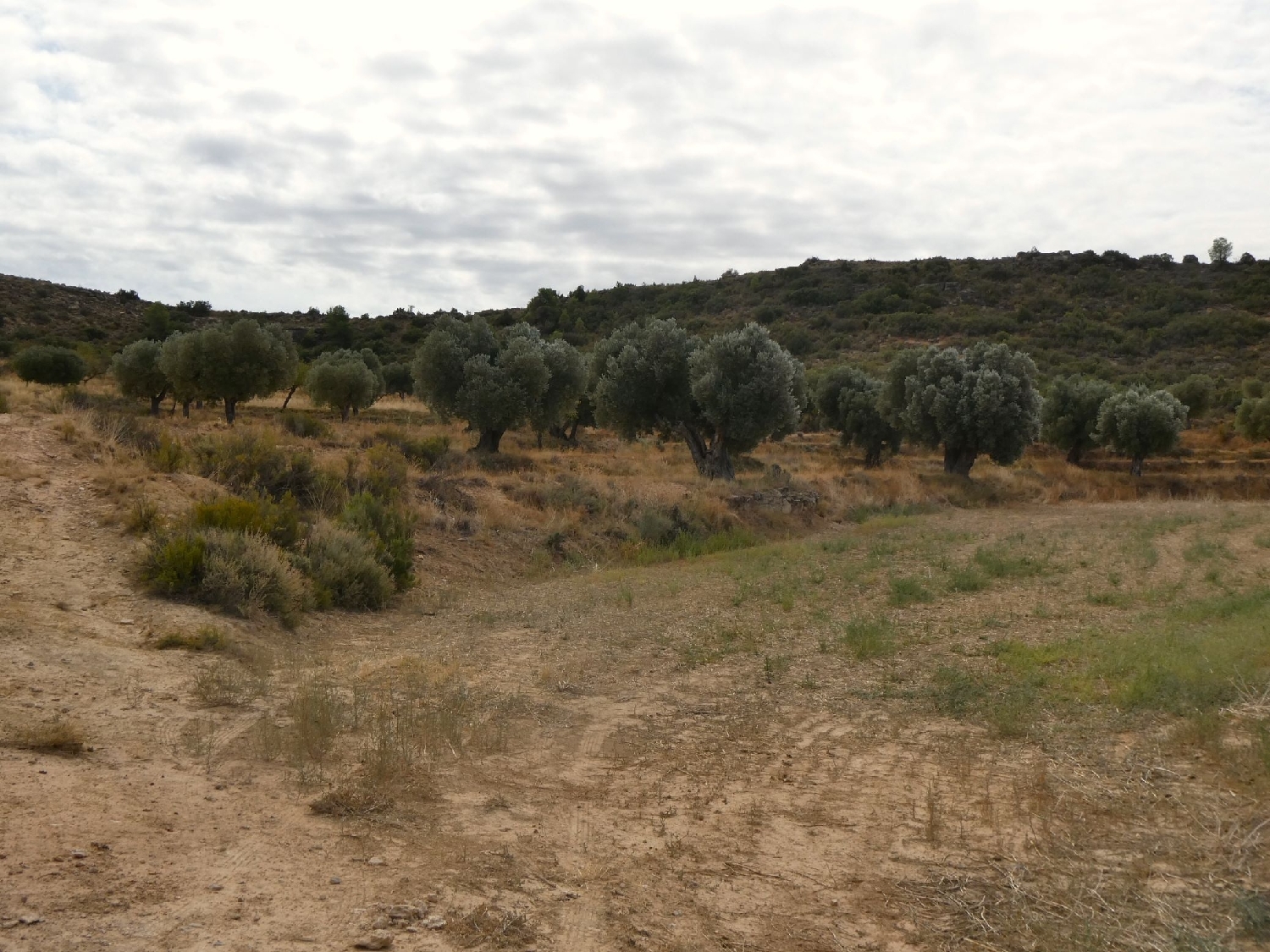  te koop boerderij Maella Bajo Aragón-Caspe 2