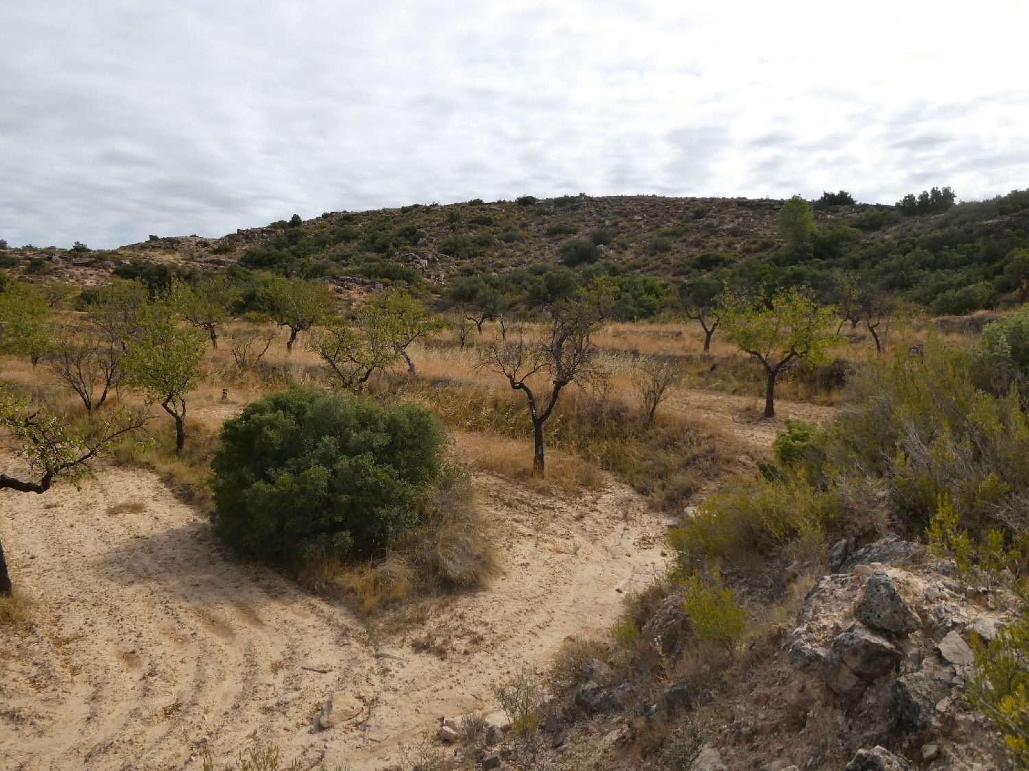  te koop boerderij Maella Bajo Aragón-Caspe 13