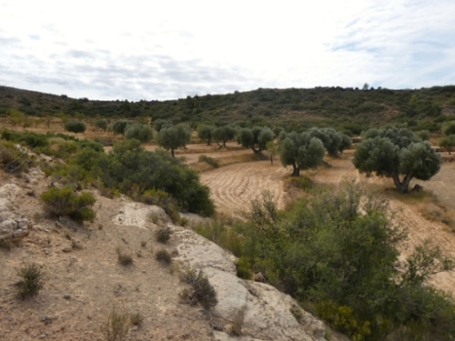 Maella Bajo Aragón-Caspe boerderij foto 6298720