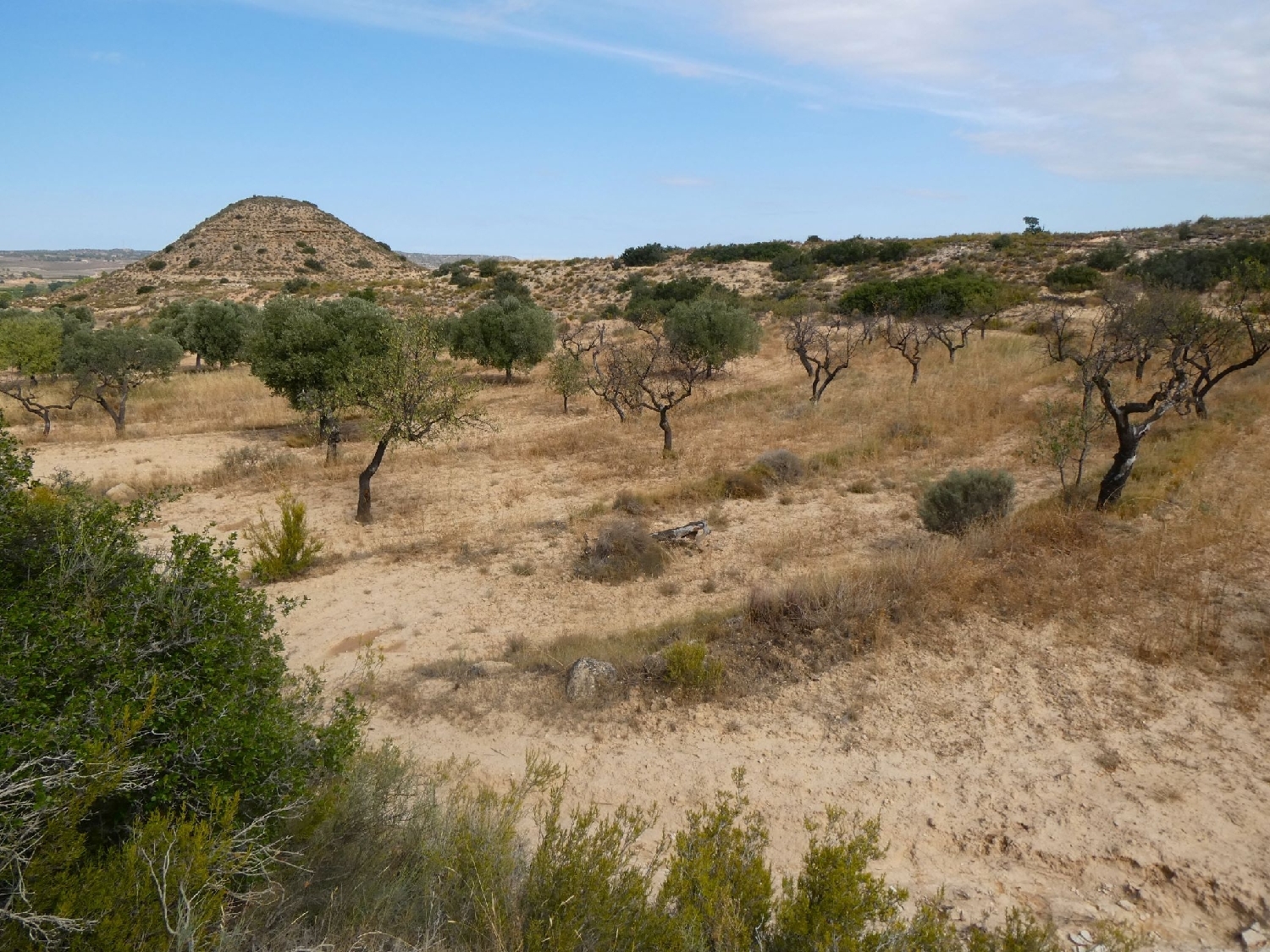  te koop boerderij Maella Bajo Aragón-Caspe 14
