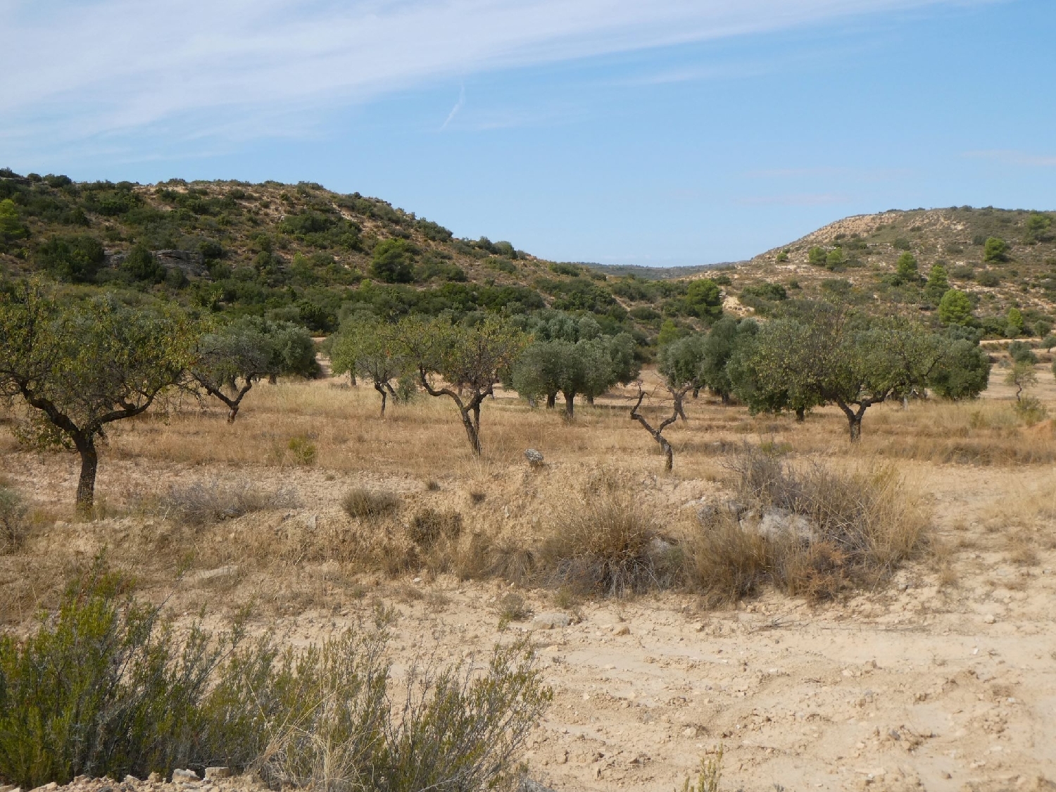  te koop boerderij Maella Bajo Aragón-Caspe 12