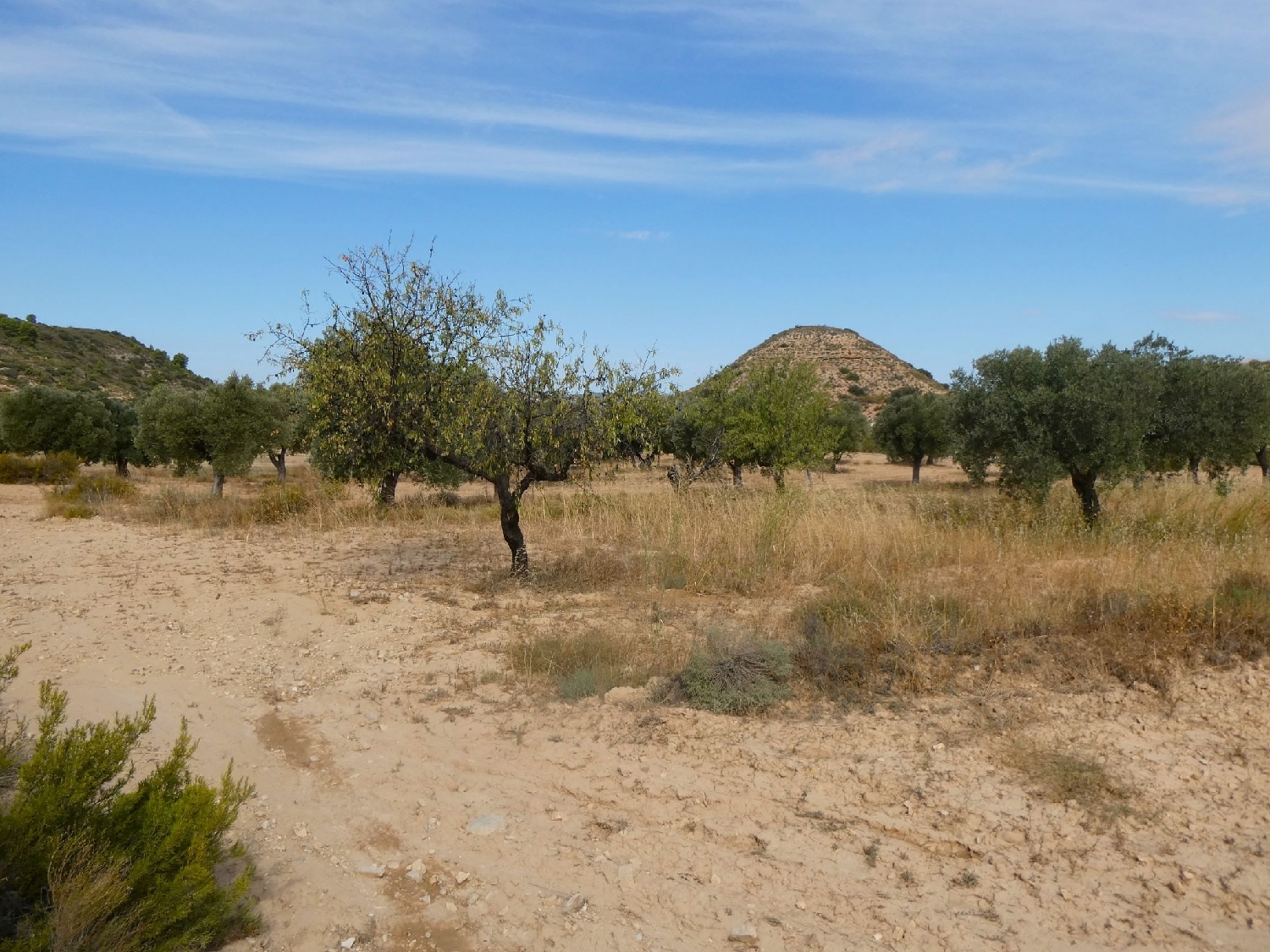  te koop boerderij Maella Bajo Aragón-Caspe 15