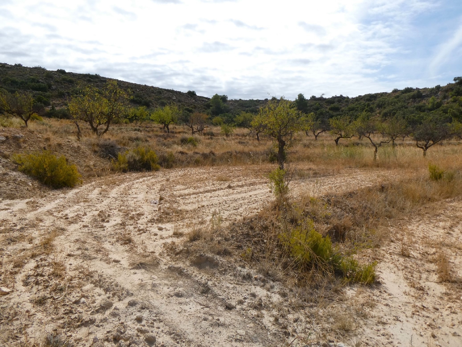  te koop boerderij Maella Bajo Aragón-Caspe 11