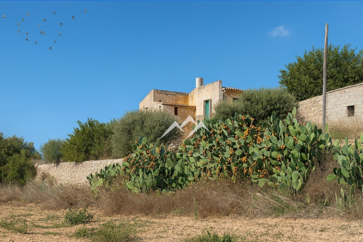  en venta finca rústica Manacor Llevant 6