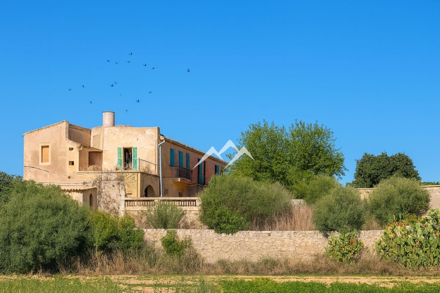  en venta finca rústica Manacor Llevant 7