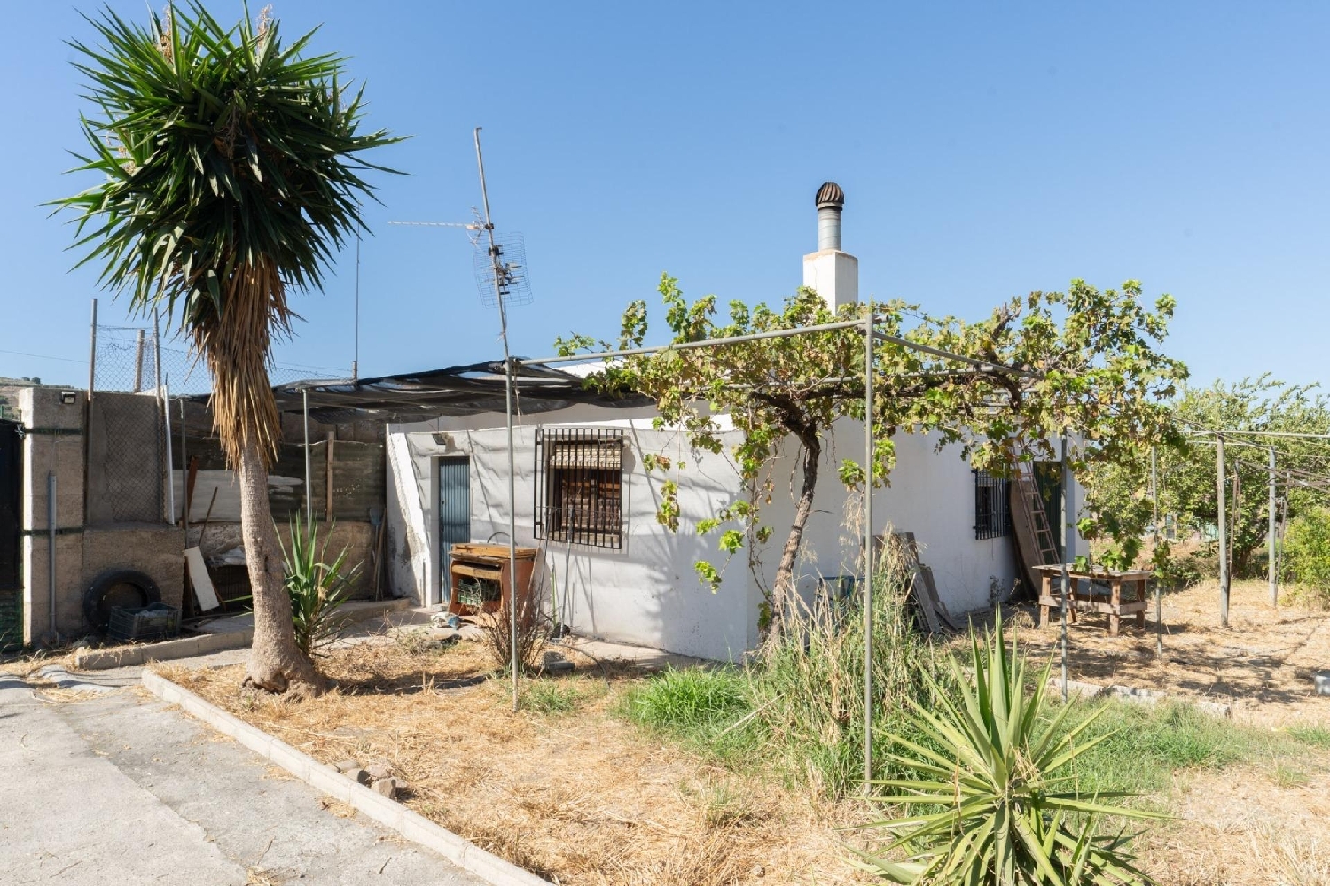  à vendre maison de campagne Motril Costa Tropical 1