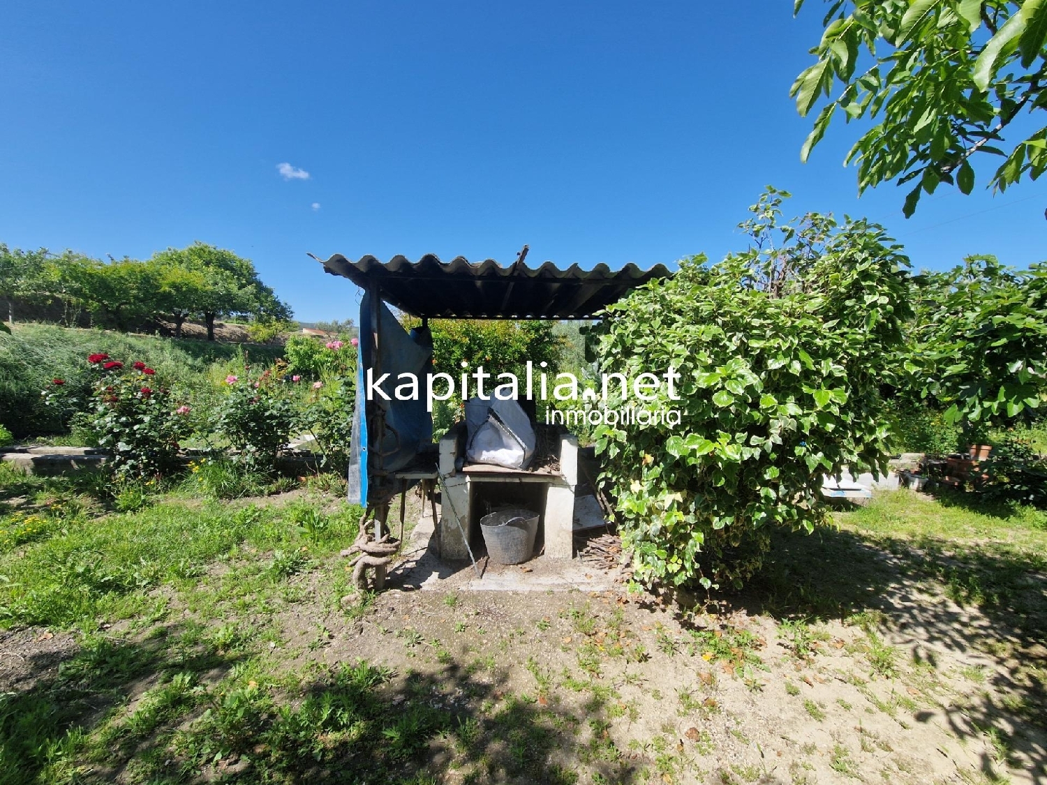 te koop boerderij Ontinyent Vall D'albaida 7