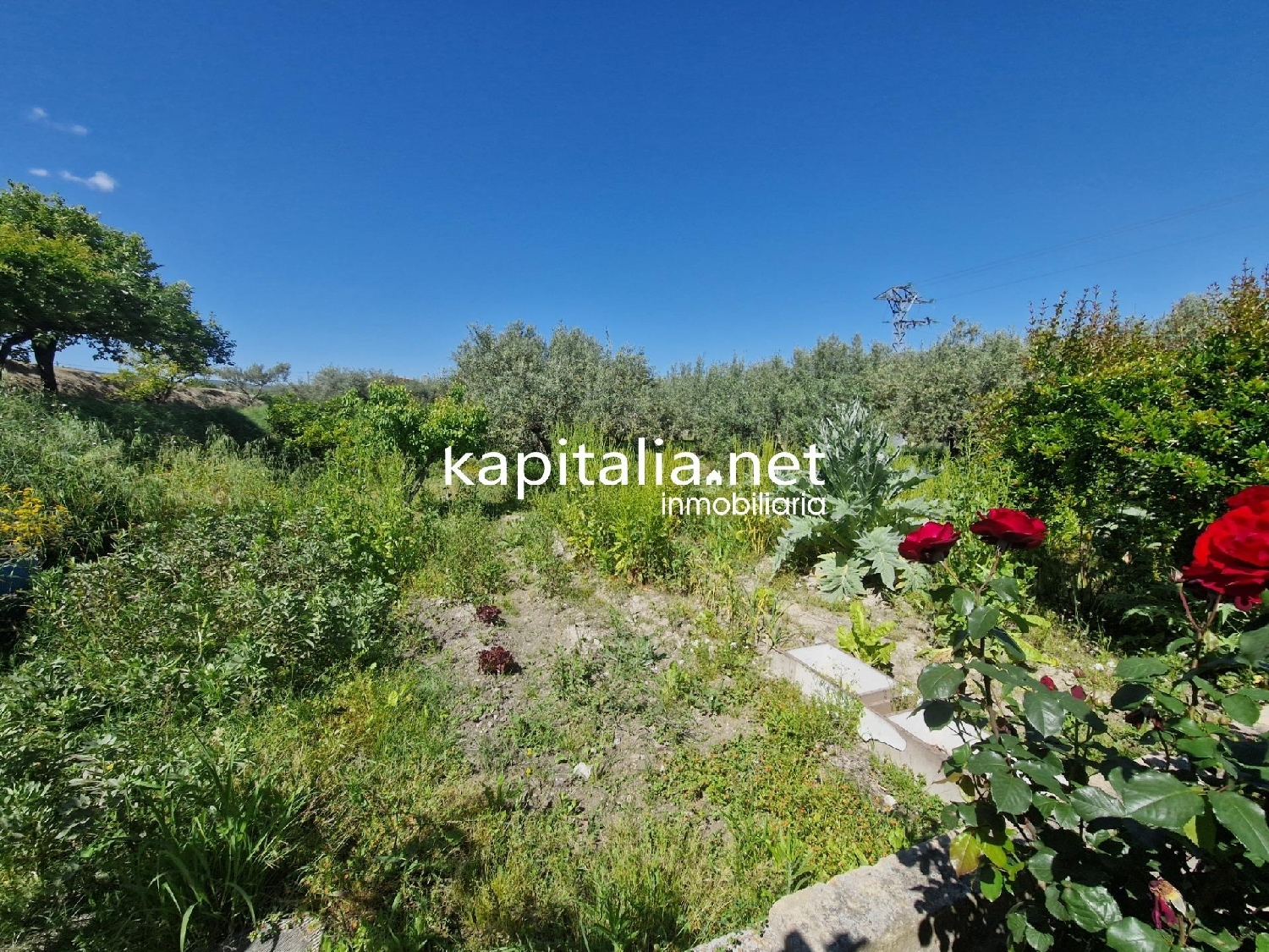  te koop boerderij Ontinyent Vall D'albaida 8