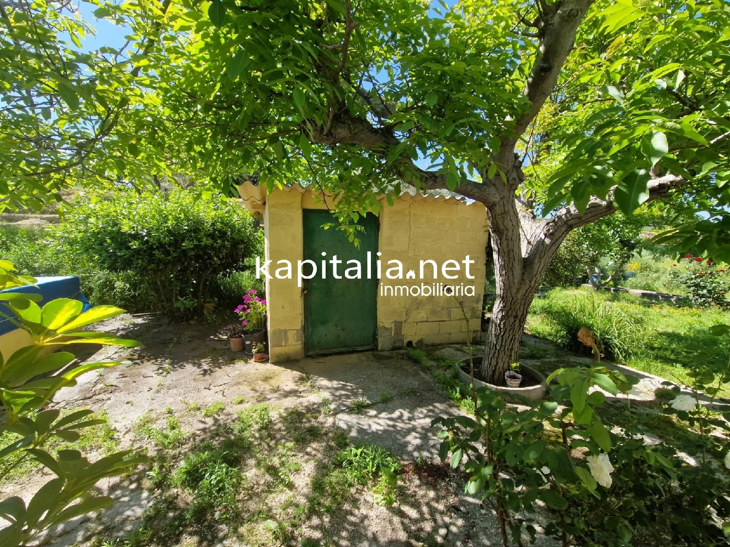  te koop boerderij Ontinyent Vall D'albaida 6