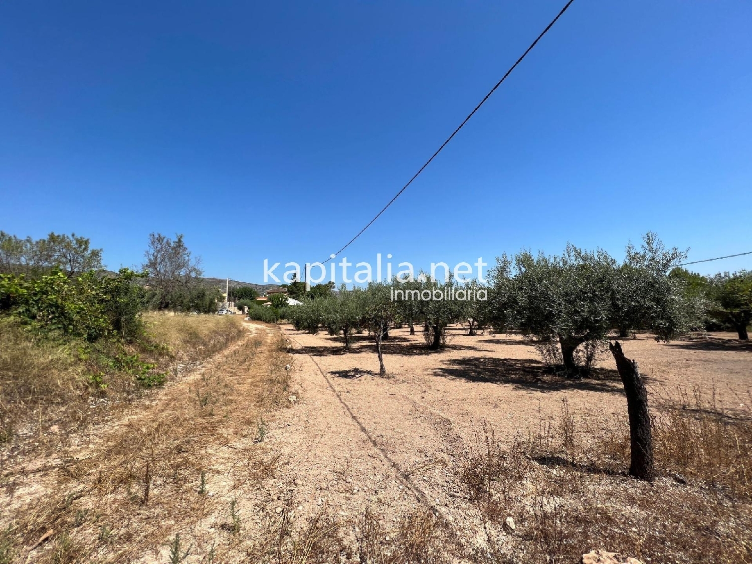  en venta finca rústica Ontinyent Vall D'albaida 7