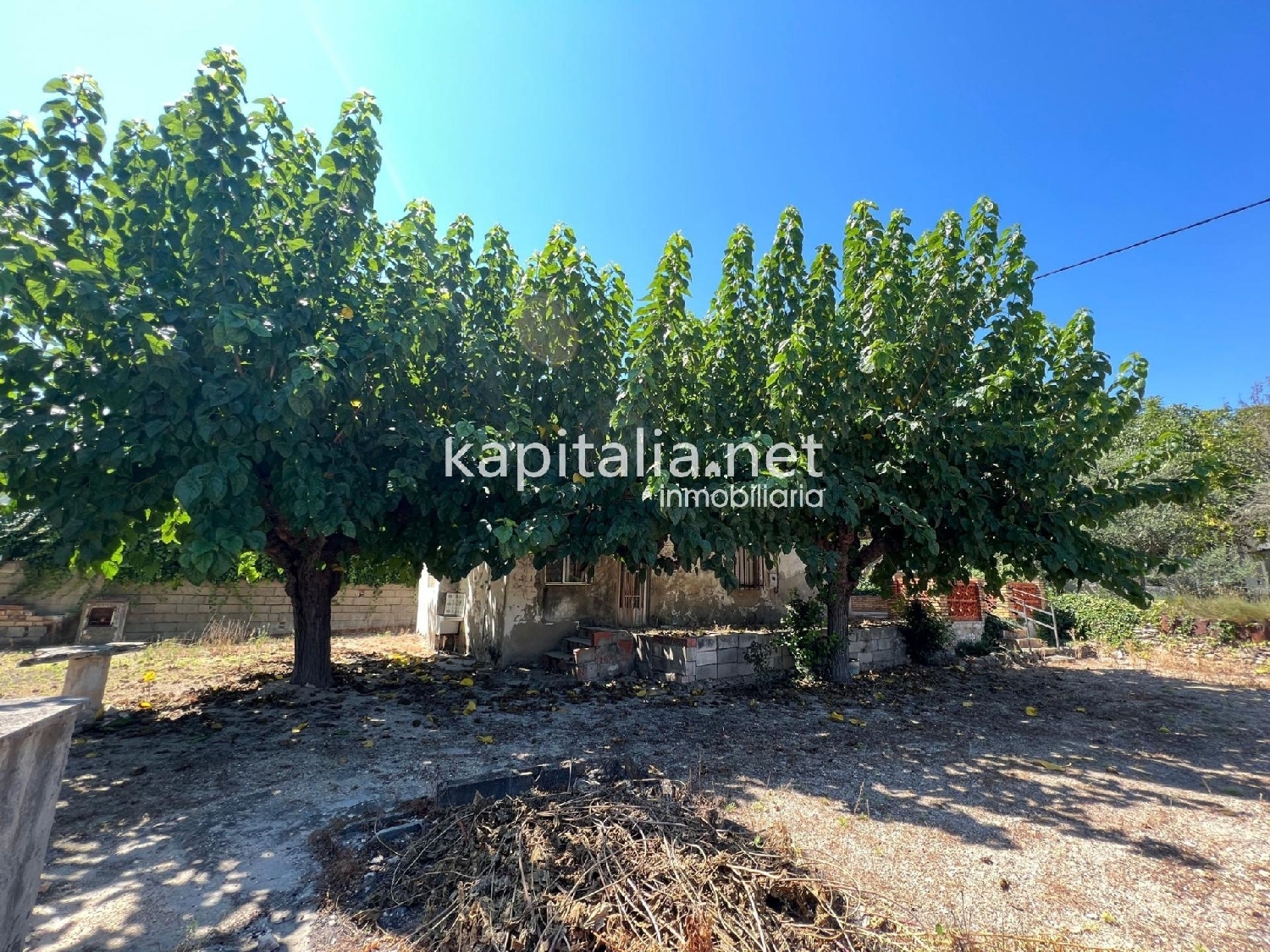  en venta finca rústica Ontinyent Vall D'albaida 5