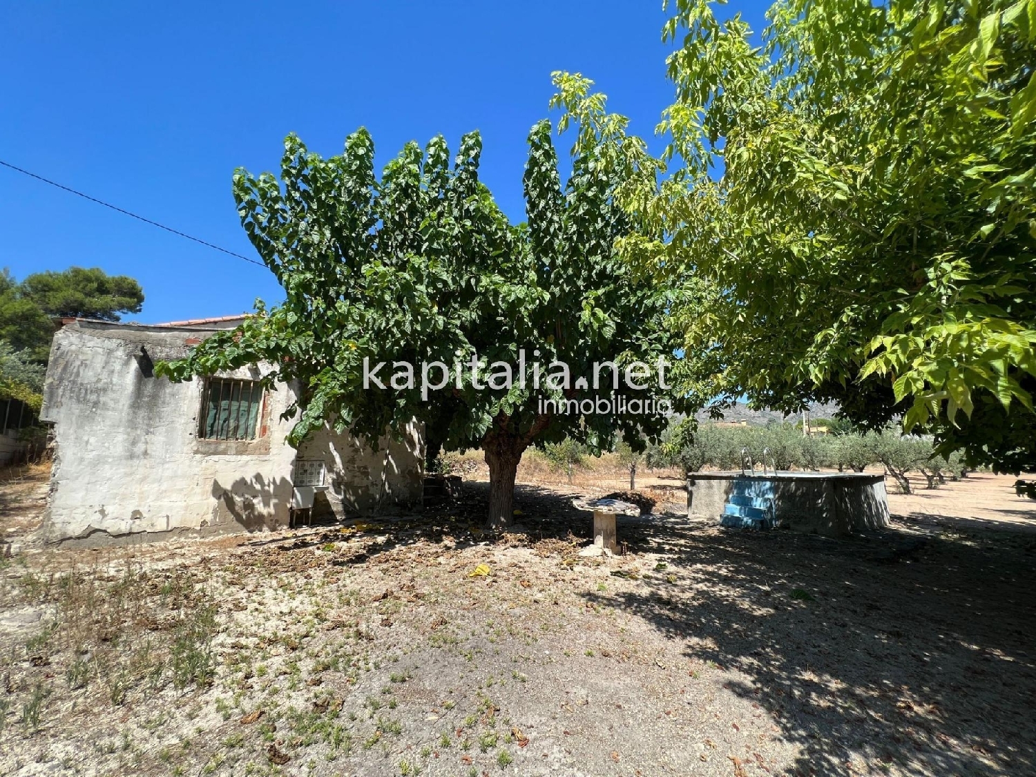  en venta finca rústica Ontinyent Vall D'albaida 8