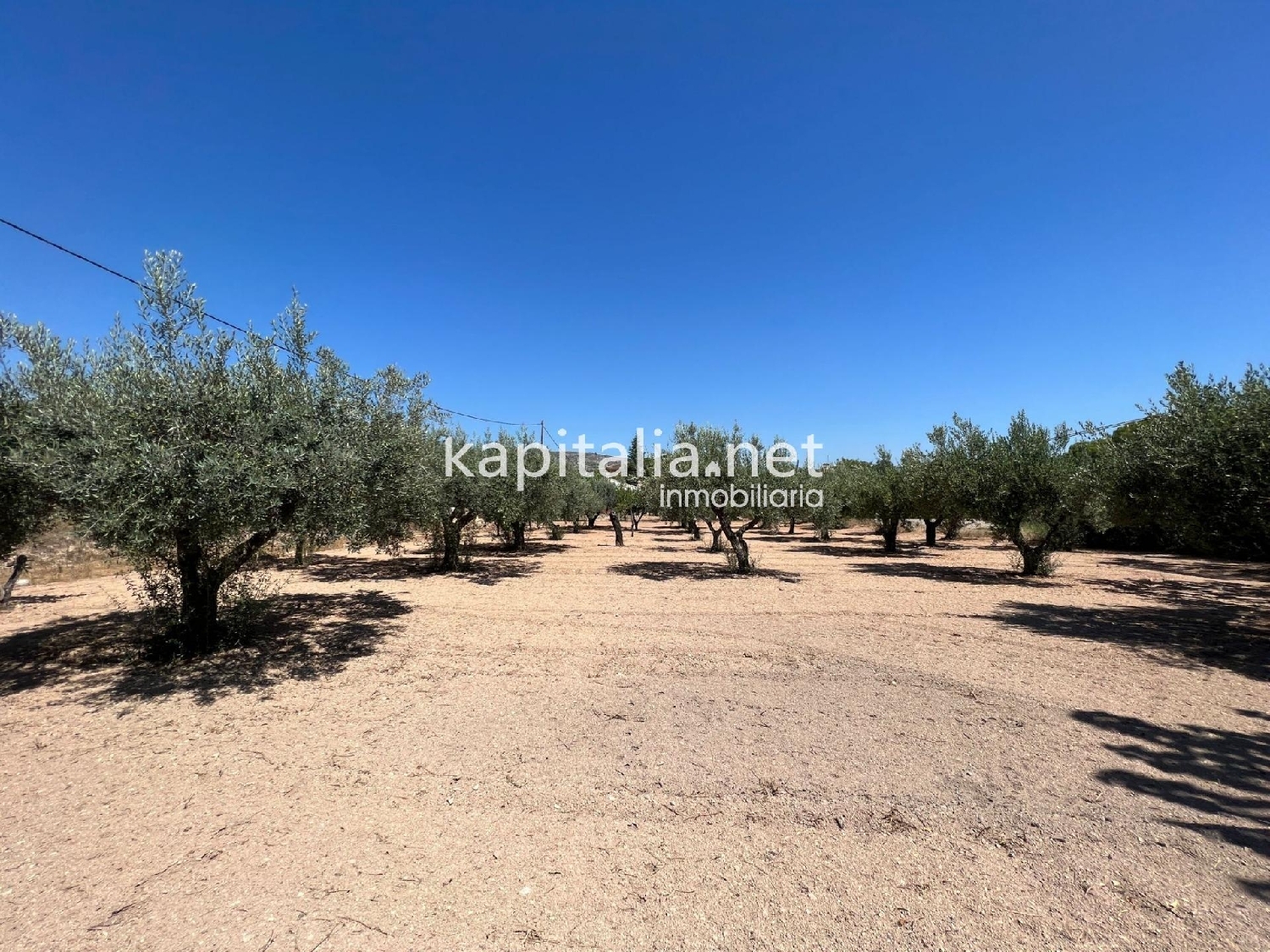  en venta finca rústica Ontinyent Vall D'albaida 4