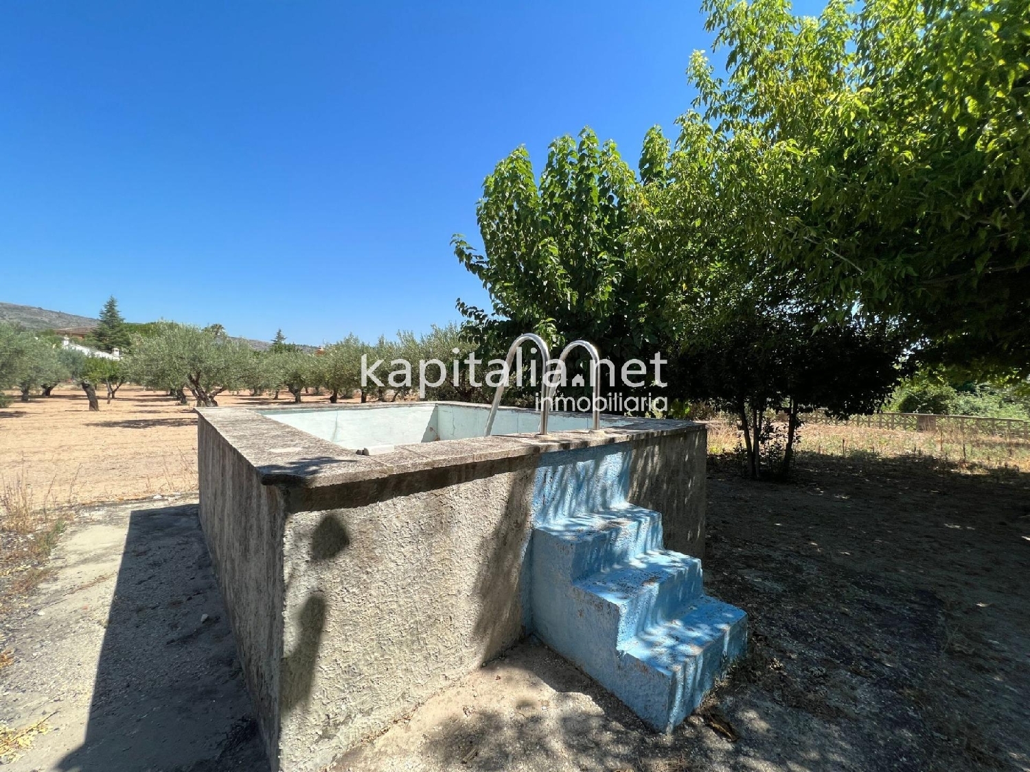  en venta finca rústica Ontinyent Vall D'albaida 3