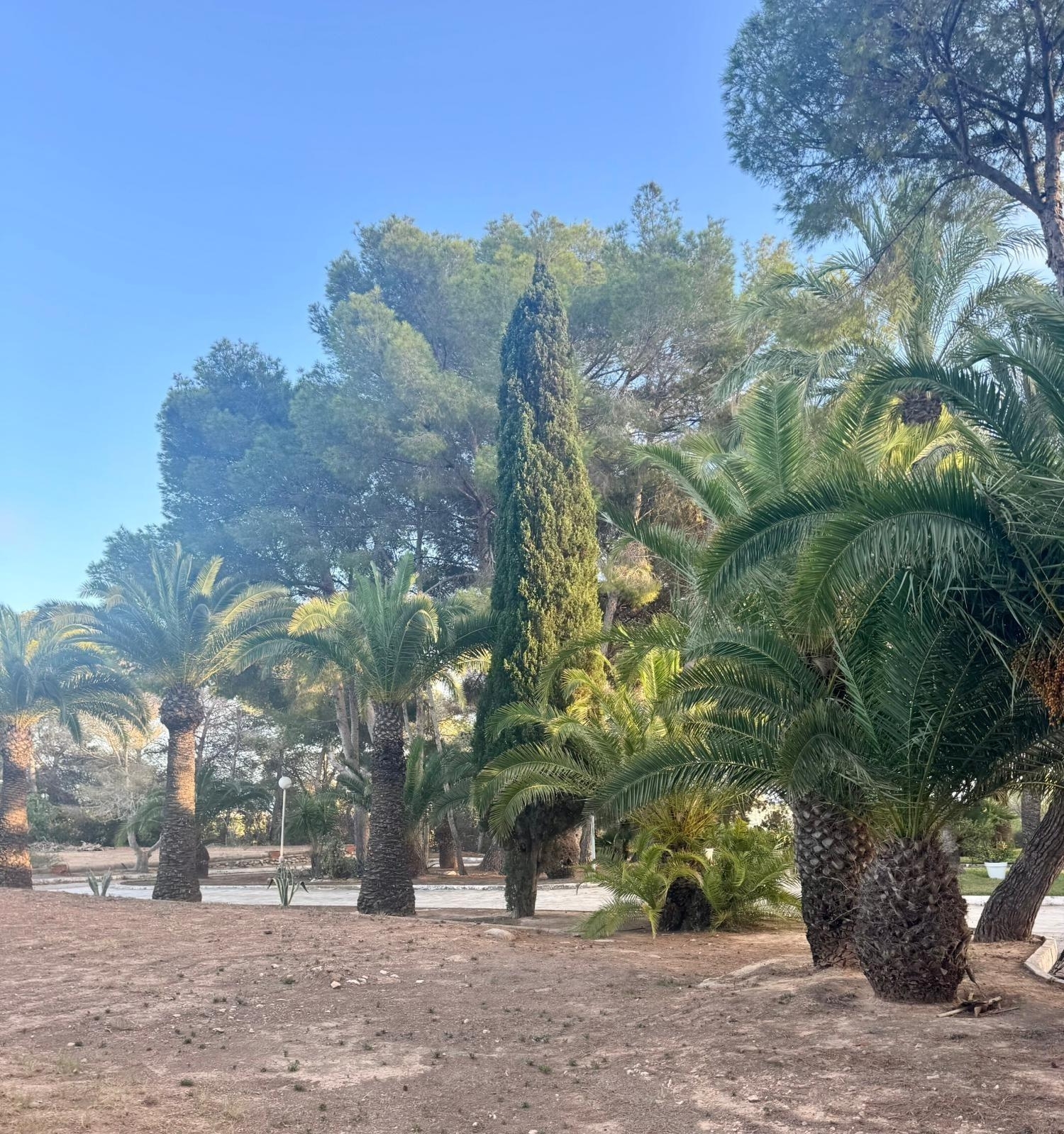  kaufen Landhaus Orihuela Costa Baix Segura 5