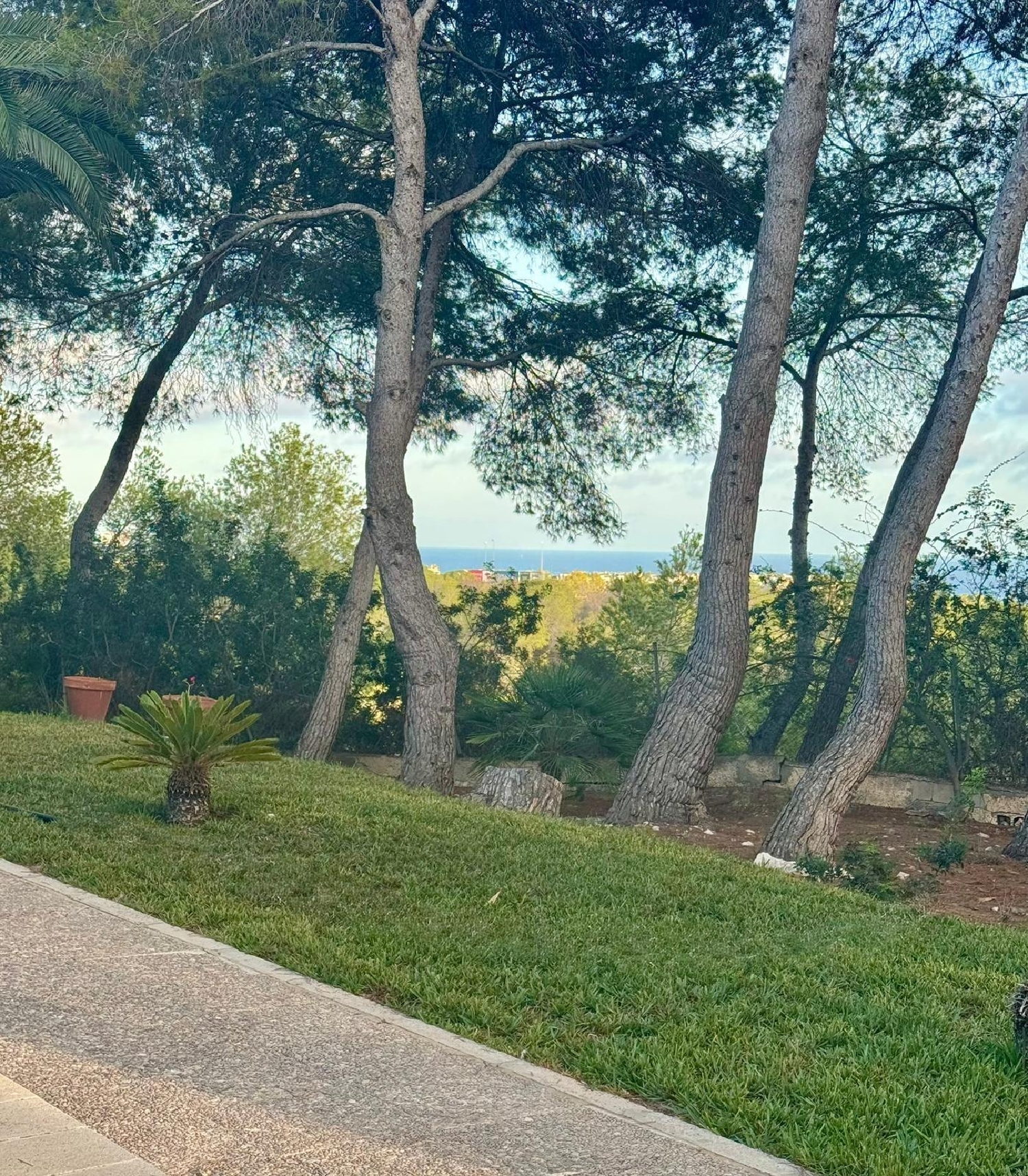  kaufen Landhaus Orihuela Costa Baix Segura 7