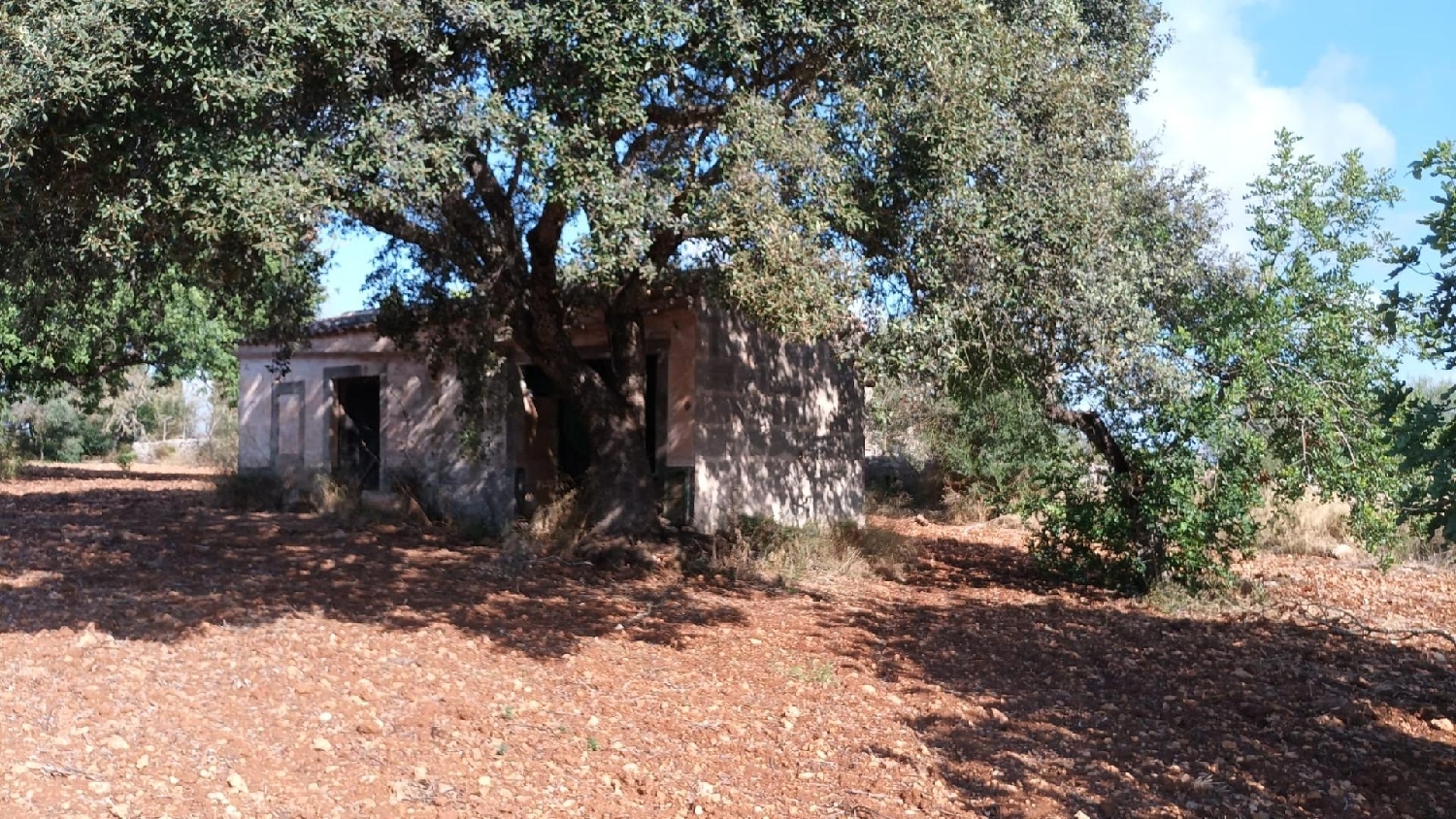  kaufen Landhaus Petra Pla (Es) 4