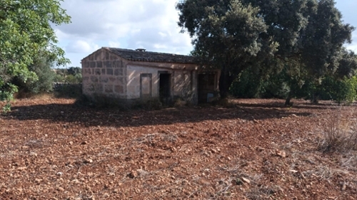 Petra Pla (Es) Landhaus Bild 6300649