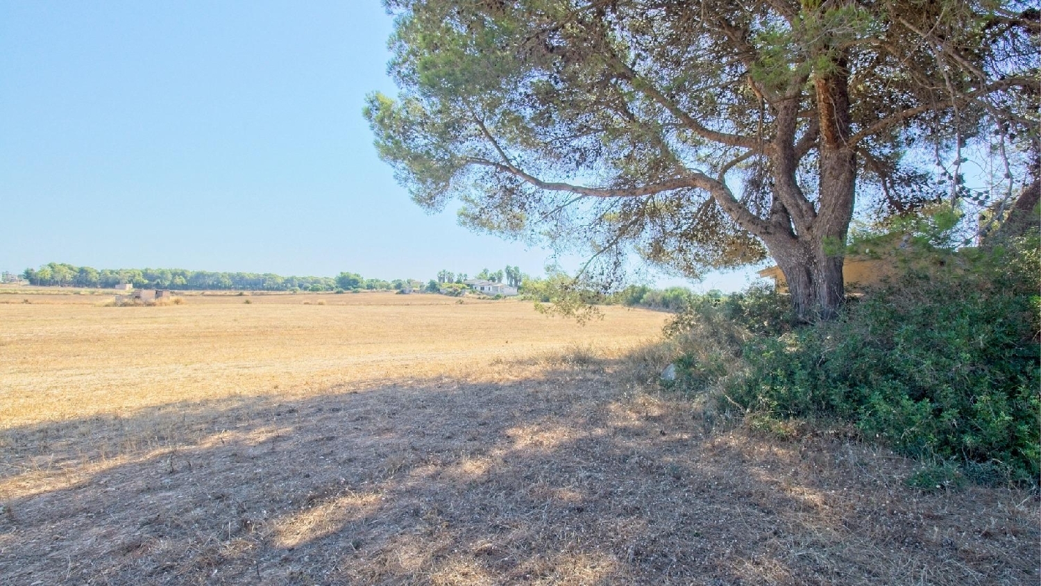  te koop boerderij Platja De Muro Nord 7
