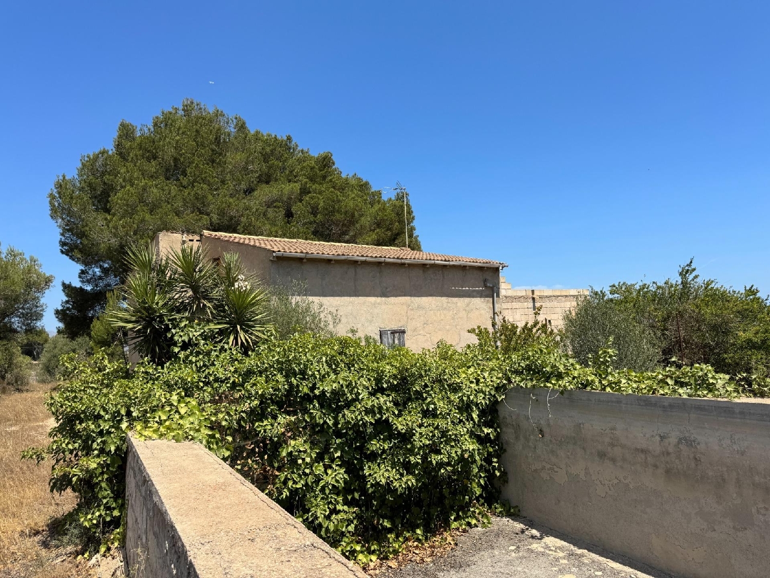  te koop boerderij Platja De Muro Nord 4