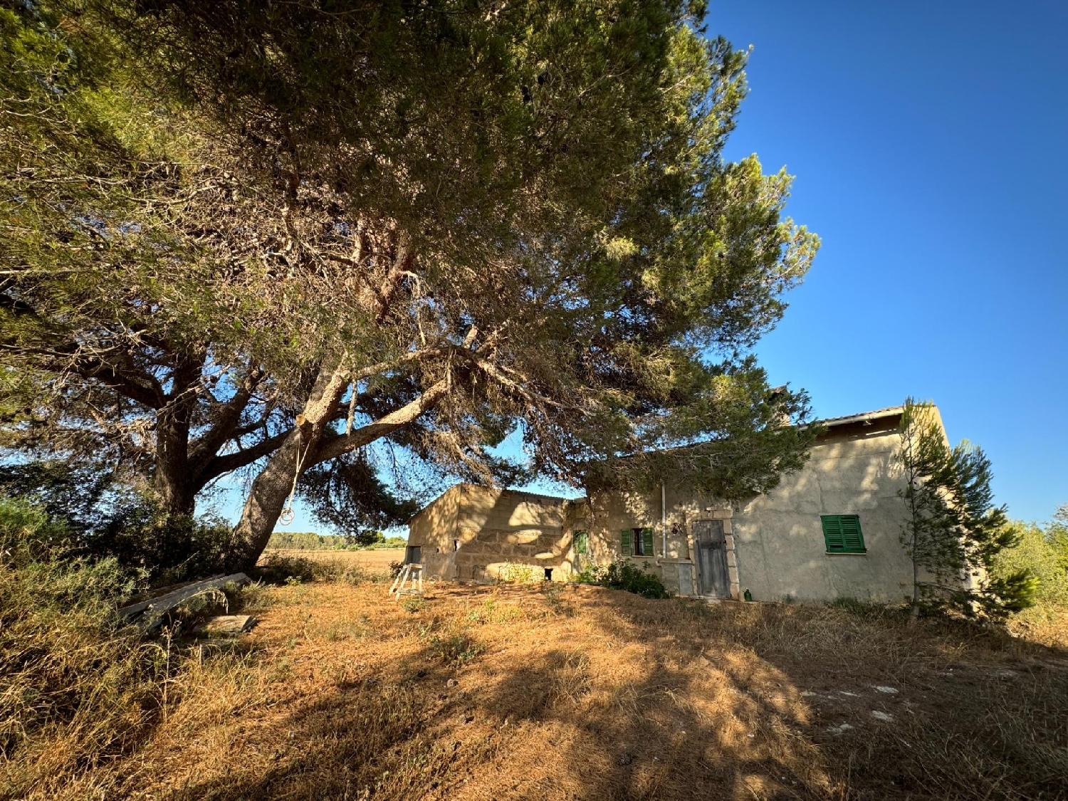  te koop boerderij Platja De Muro Nord 6
