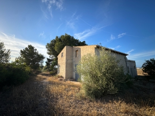 Platja De Muro Nord boerderij foto 6297580