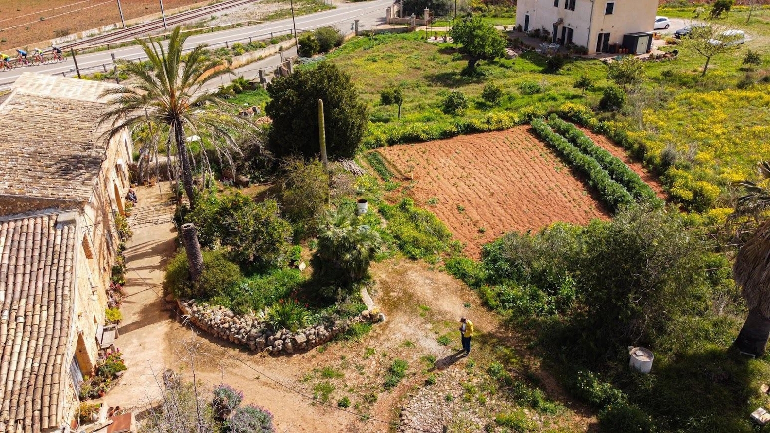  à vendre maison de campagne Santa Maria Del Camí Raiguer 5