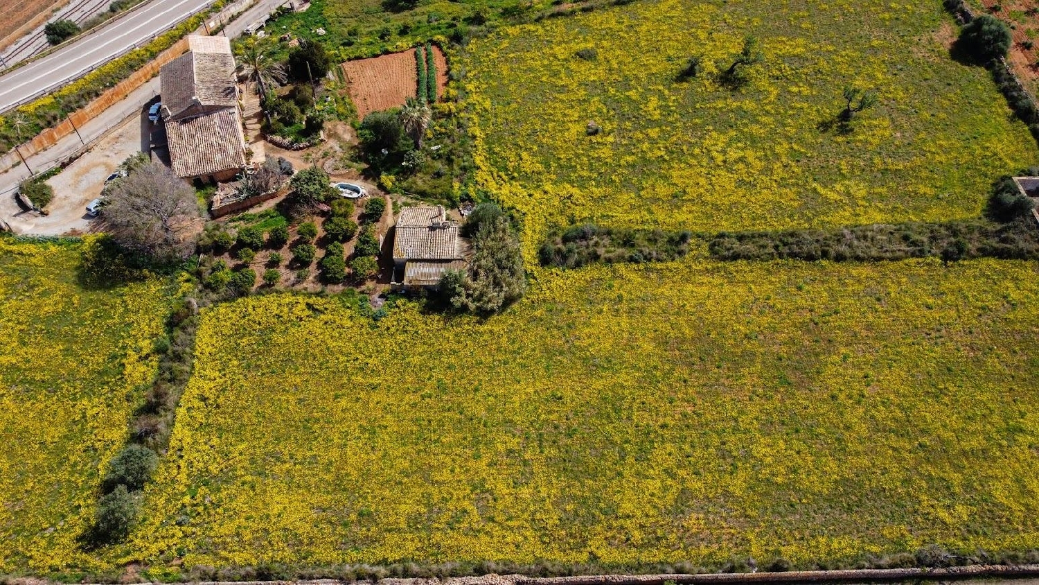  à vendre maison de campagne Santa Maria Del Camí Raiguer 4