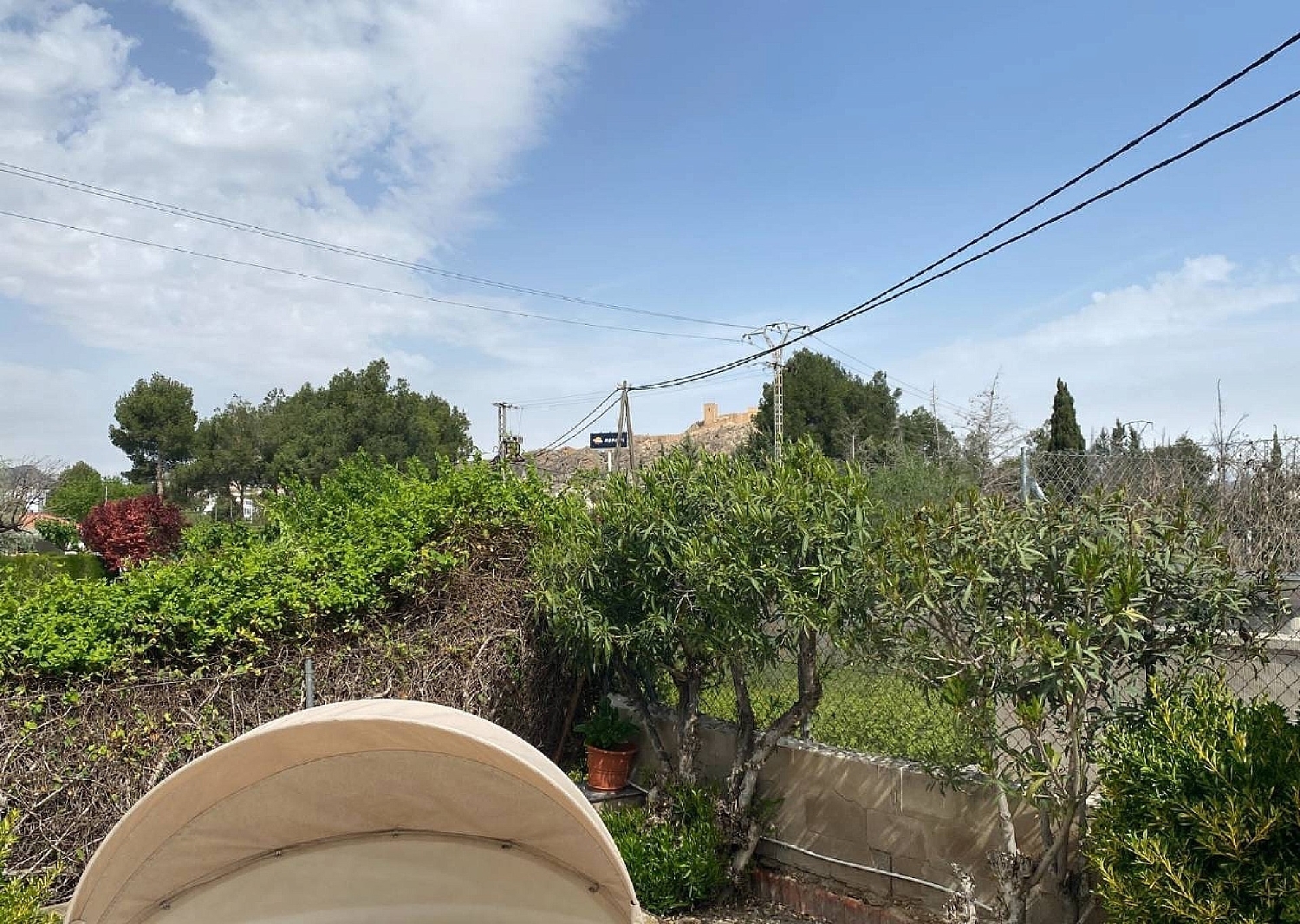  en venta finca rústica Sax Alt Vinalopó 6
