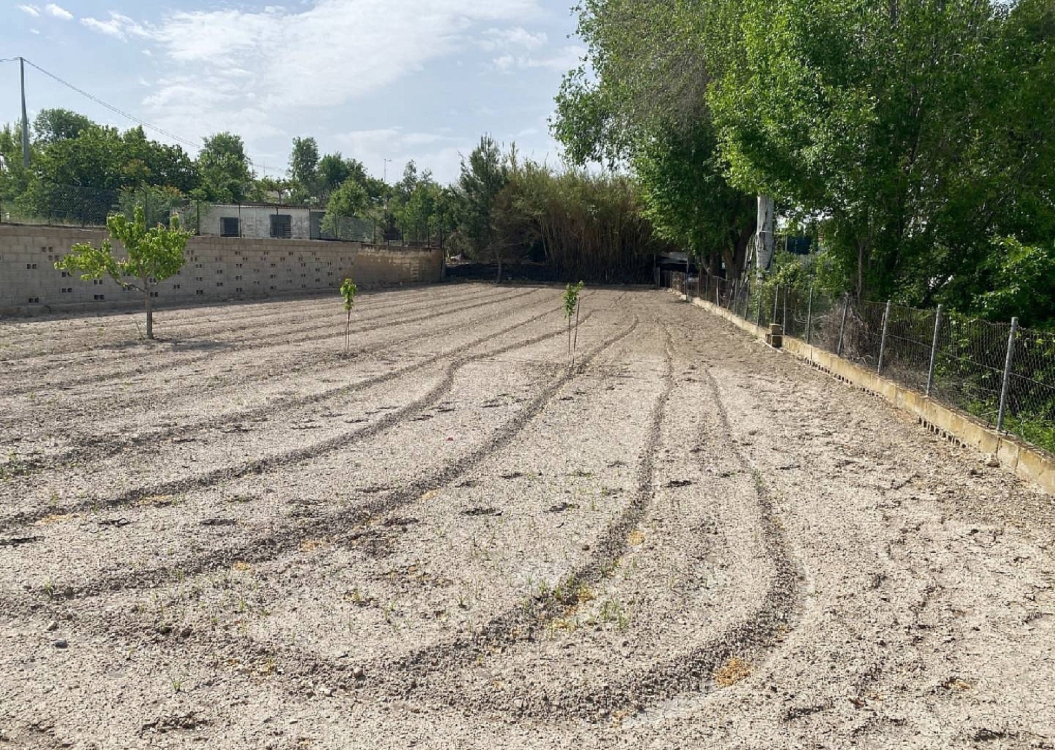  en venta finca rústica Sax Alt Vinalopó 31