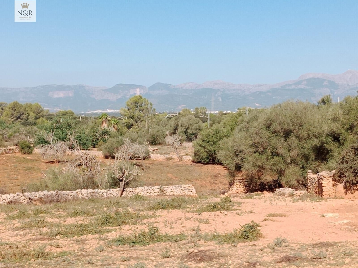  kaufen Landhaus Sineu Pla (Es) 1