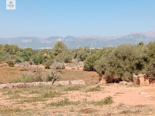 Sineu Pla (Es) Landhaus Bild 6303339