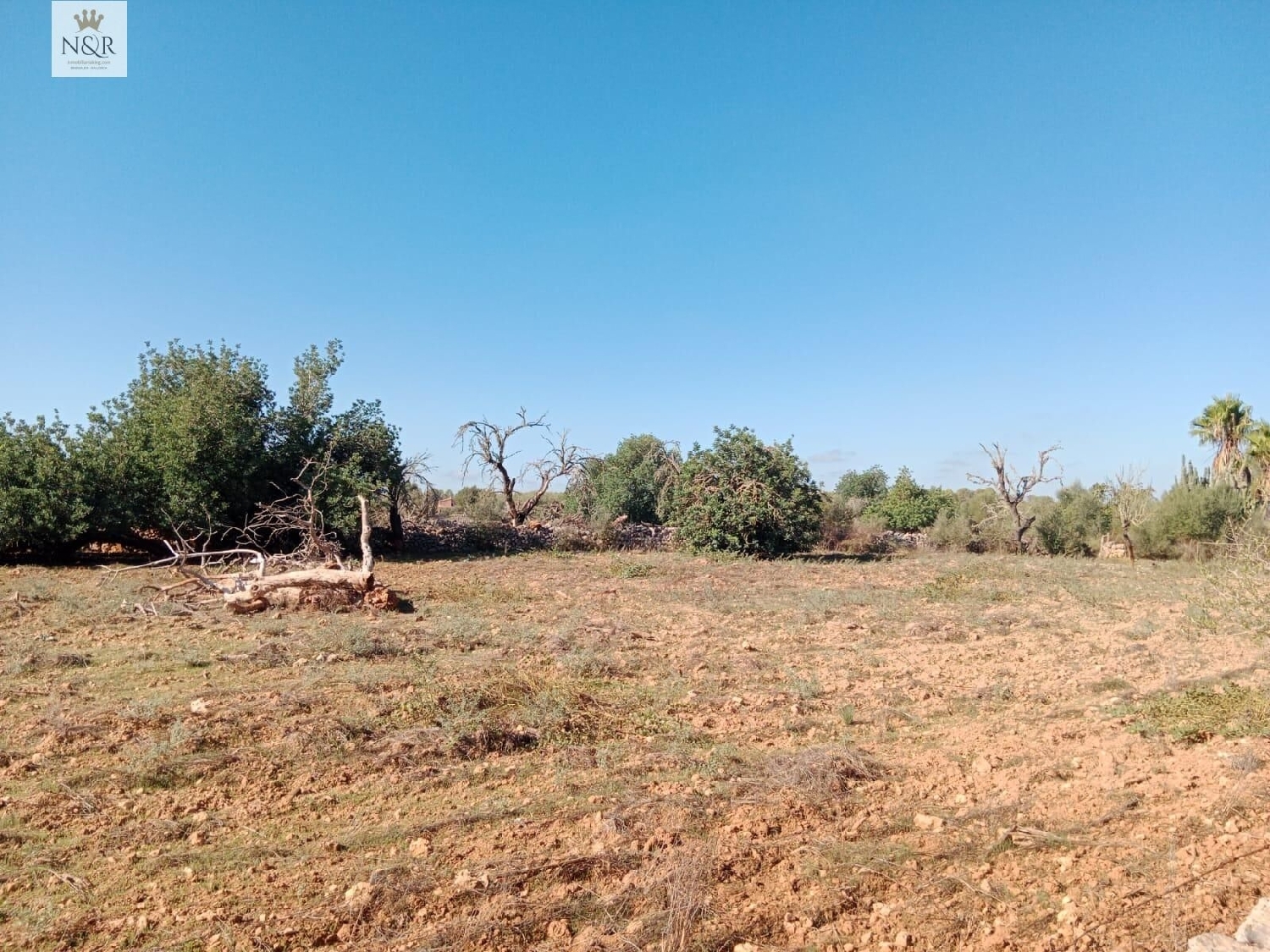  kaufen Landhaus Sineu Pla (Es) 6