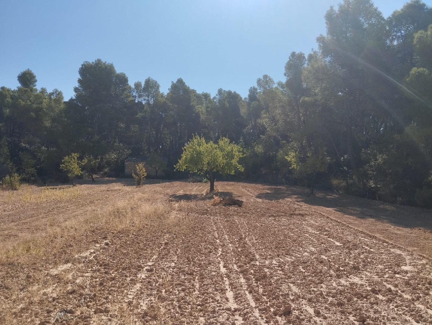  te koop boerderij Valderrobres Matarraña 4