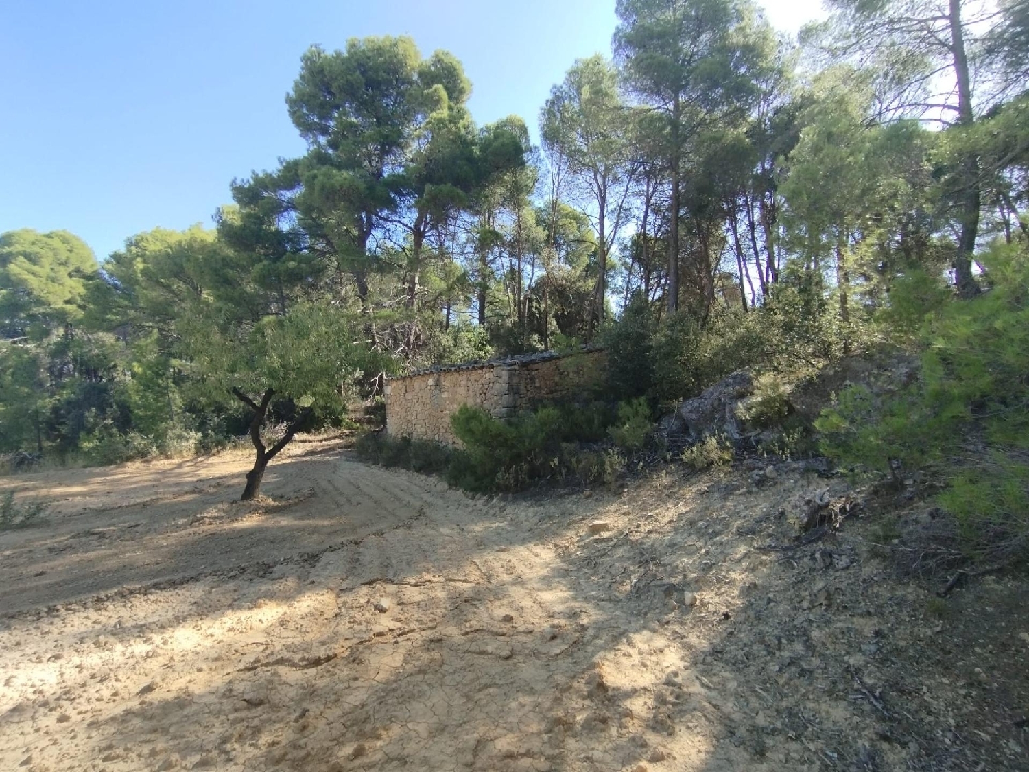  te koop boerderij Valderrobres Matarraña 1
